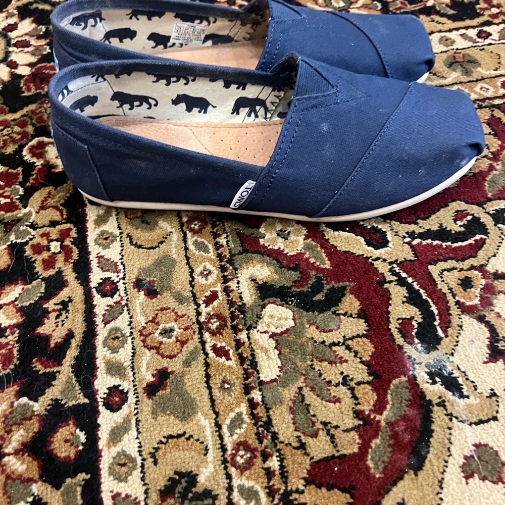 Toms canvas shoes